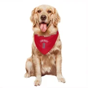 Bilal Coulibaly Washington Wizards  Dog & Cat Pet Bandana - Red