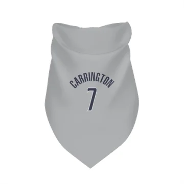 Bub Carrington Washington Wizards  Dog & Cat Pet Bandana - Gray