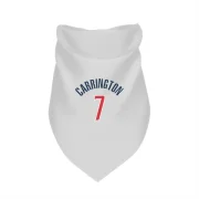 Bub Carrington Washington Wizards  Dog & Cat Pet Bandana - White