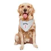 Cam Whitmore Washington Wizards  Dog & Cat Pet Bandana - White