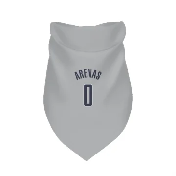Gilbert Arenas Washington Wizards  Dog & Cat Pet Bandana - Gray