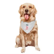 JT Thor Washington Wizards  Dog & Cat Pet Bandana - White