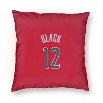 Leaky Black Washington Wizards  Pillow Cover (18 X 18) - Red