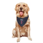 Trae Young Washington Wizards  Dog & Cat Pet Bandana - Navy